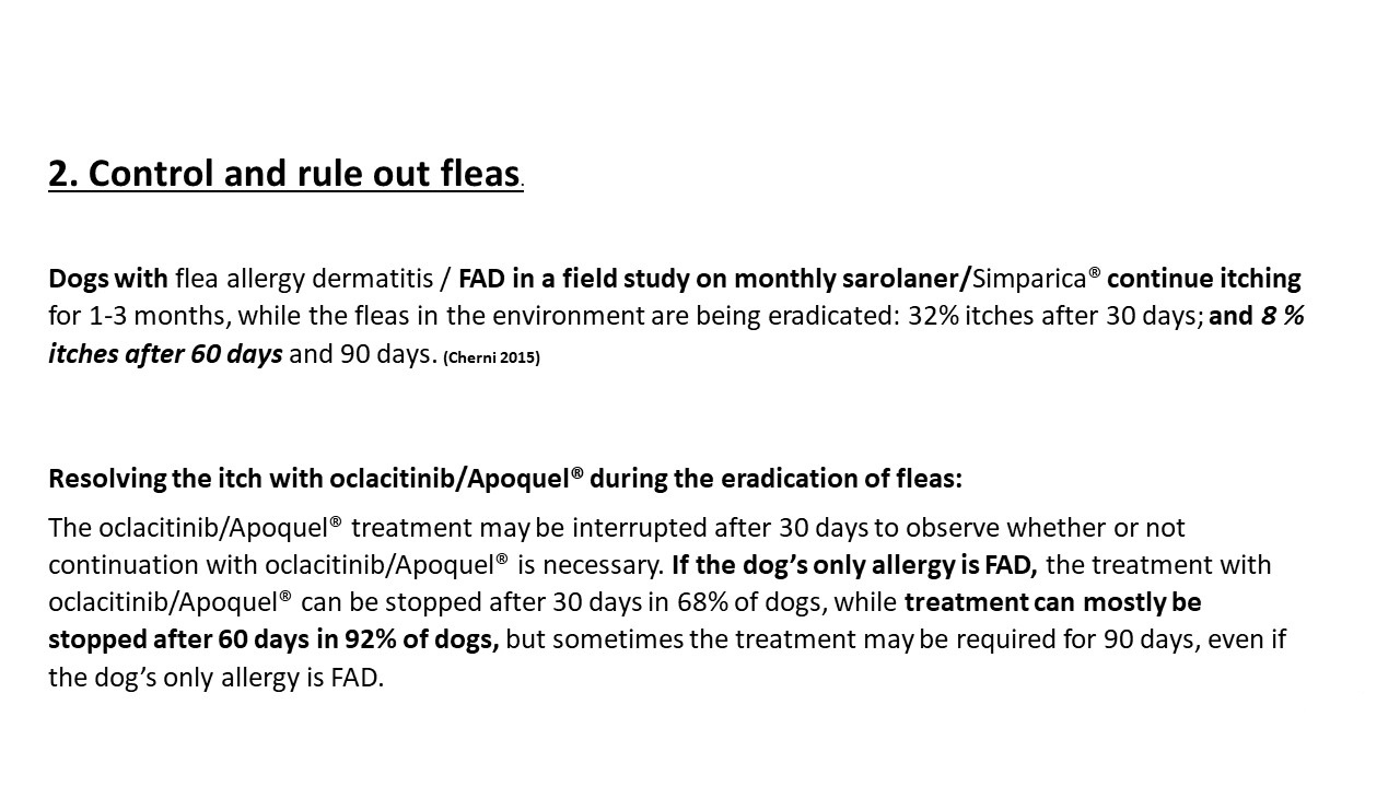 Pruritic_Dog_Webinar_Slide_19.jpg